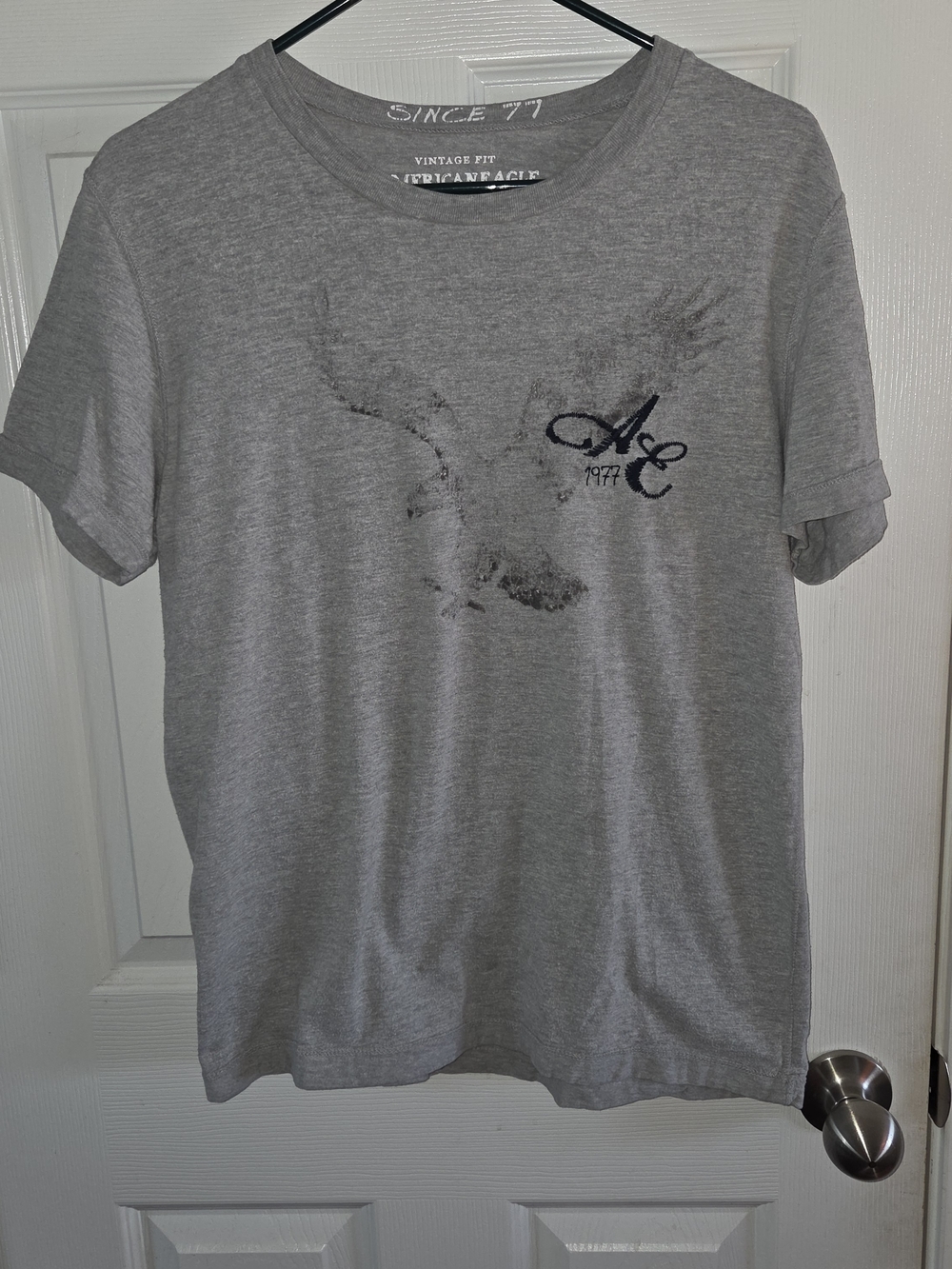 American Eagle Outfitters Men’s Light Gray Graphic Crew Tee